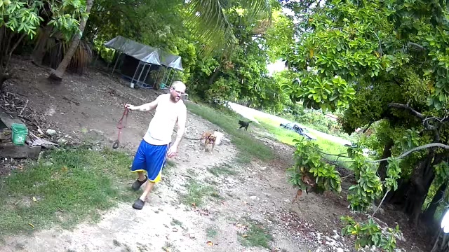 @The Dog Father