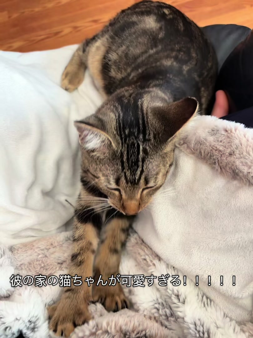 @マッチョなアメリカ人旦那と私🇺🇸🇯🇵