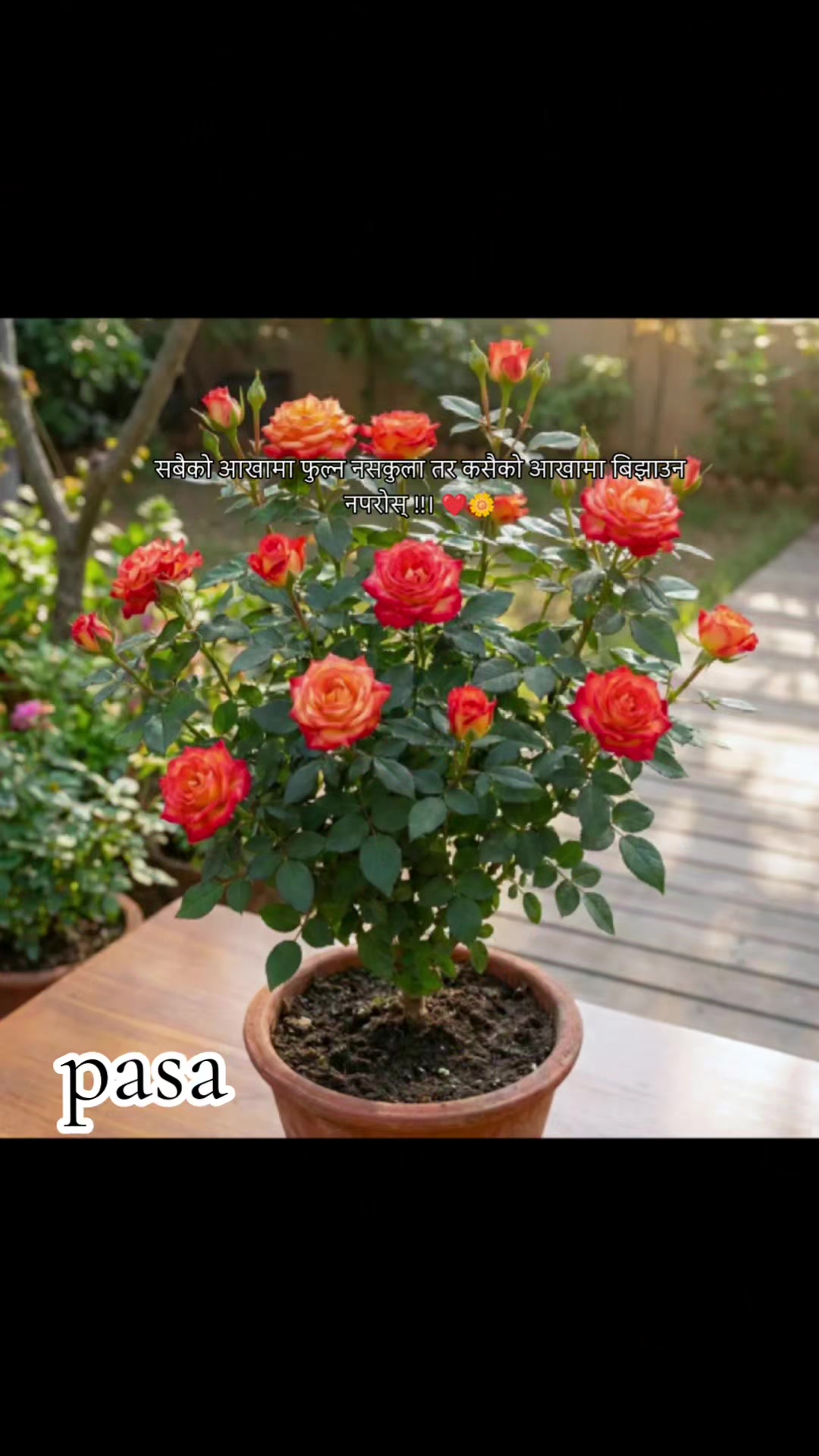 @PASA 111