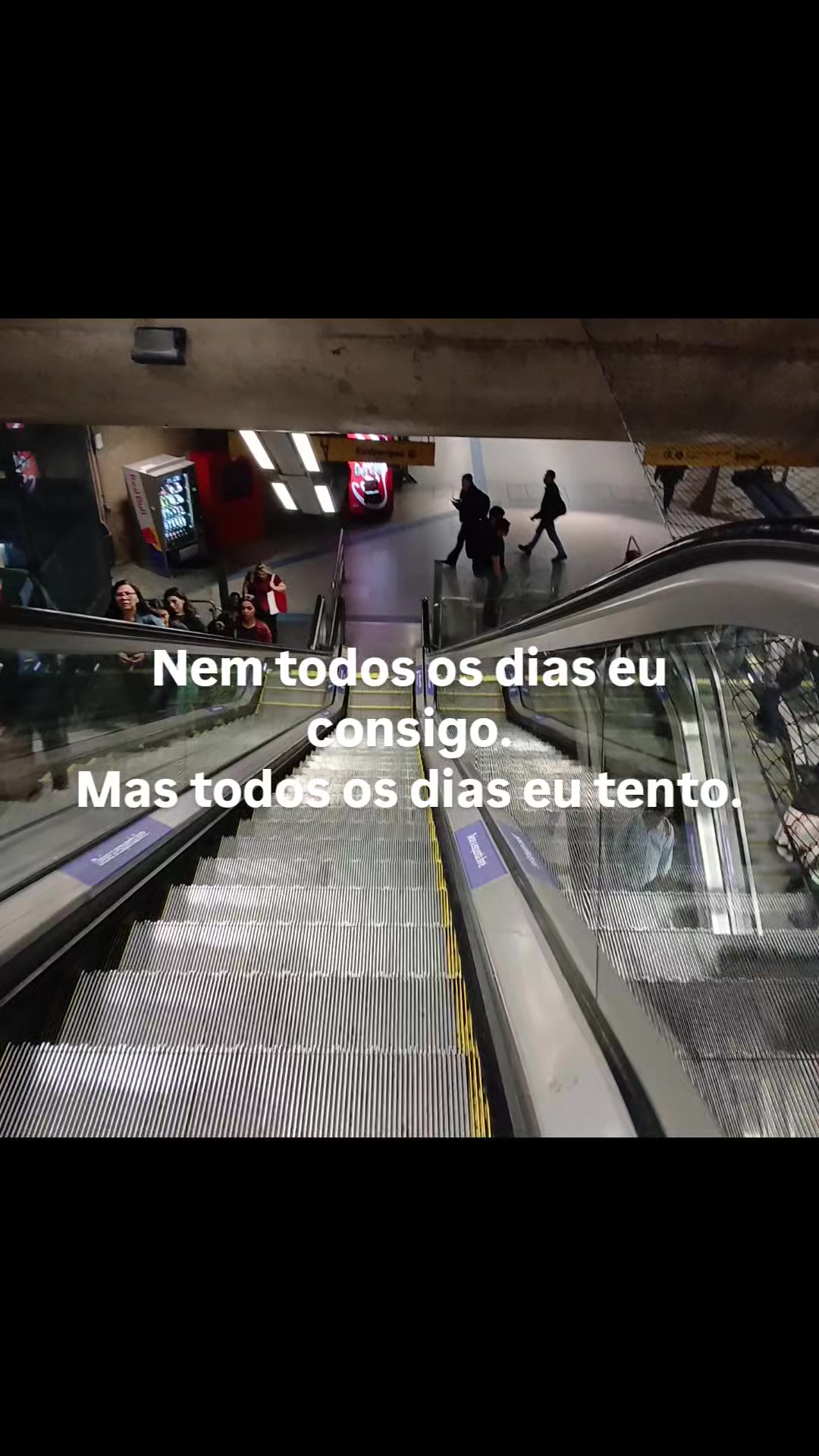 @Selma Alves