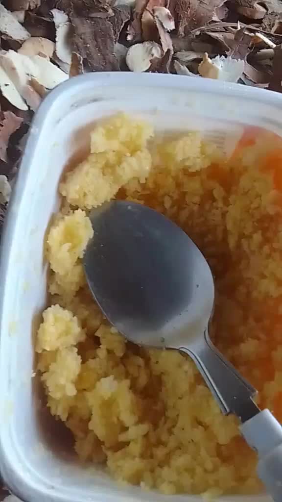 @ataldadany115