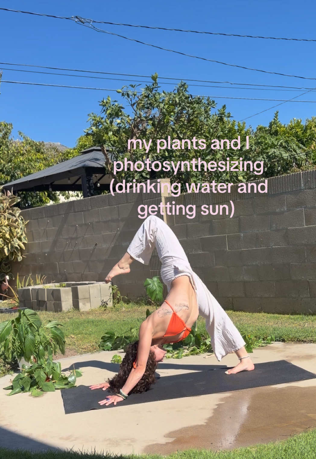 @micaela