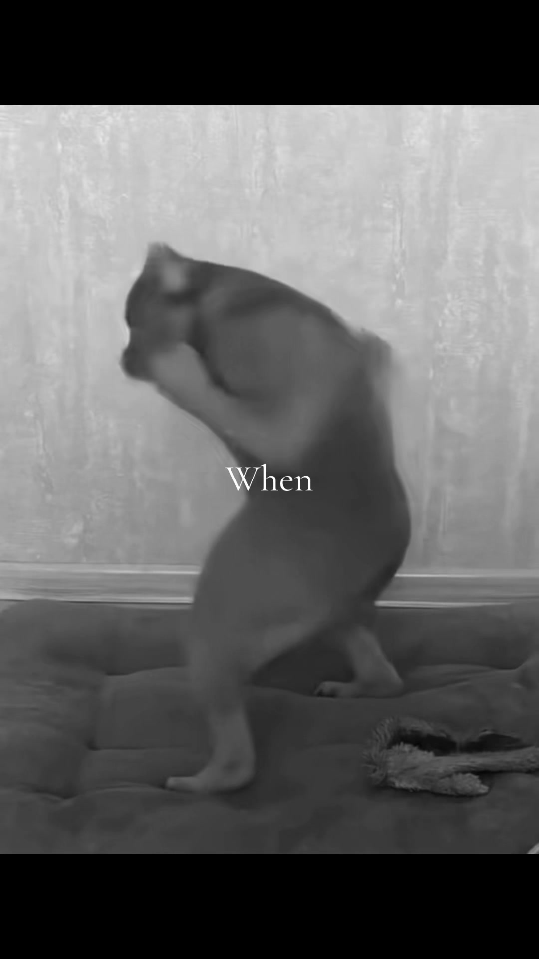 @myf