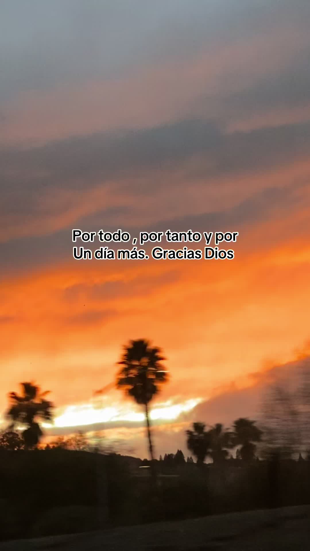 @MeyRodas07🫧🦋