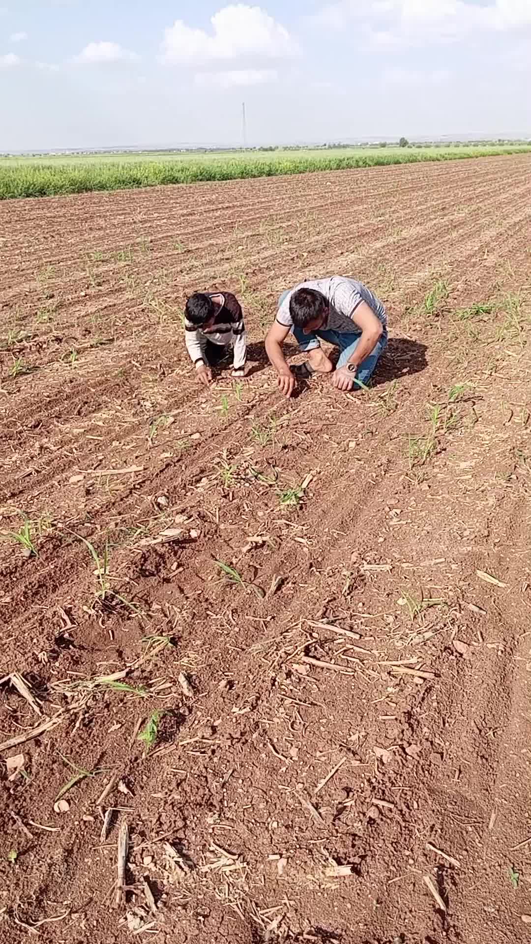 @Sabri Durmuş