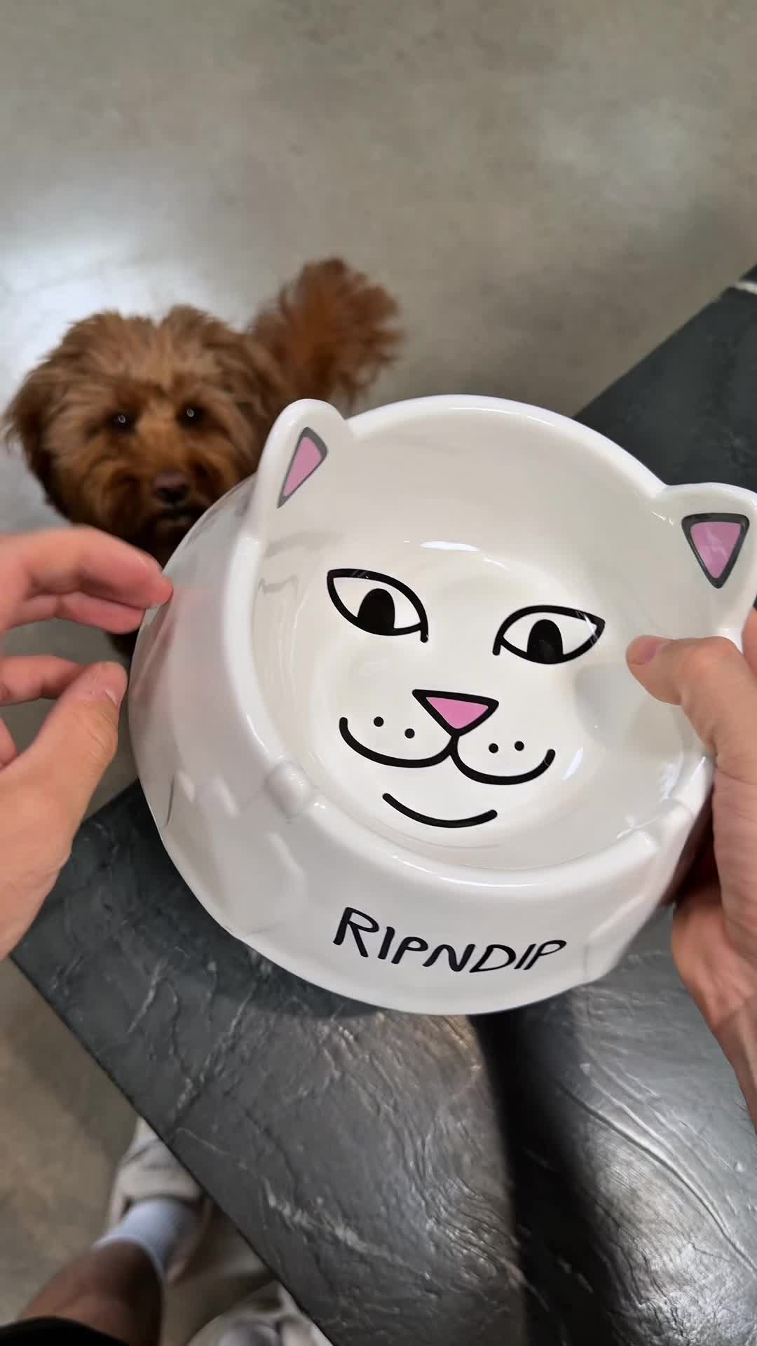 @RIPNDIP