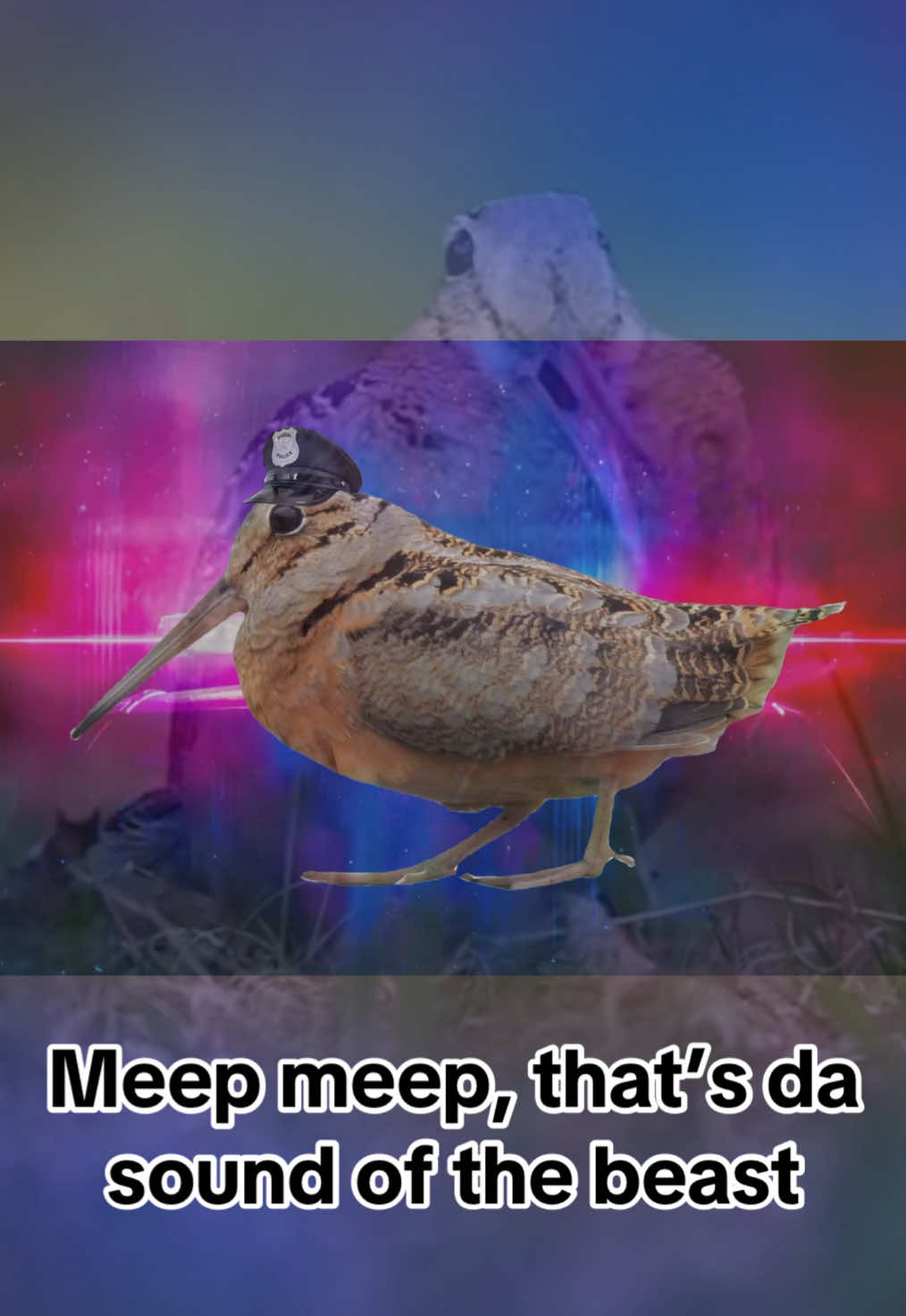 @nickelmeep