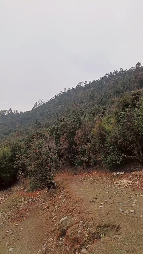 @Lalbhakta Shahi