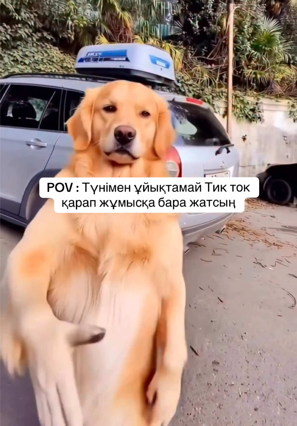 @Казах в Круизе 🛳️