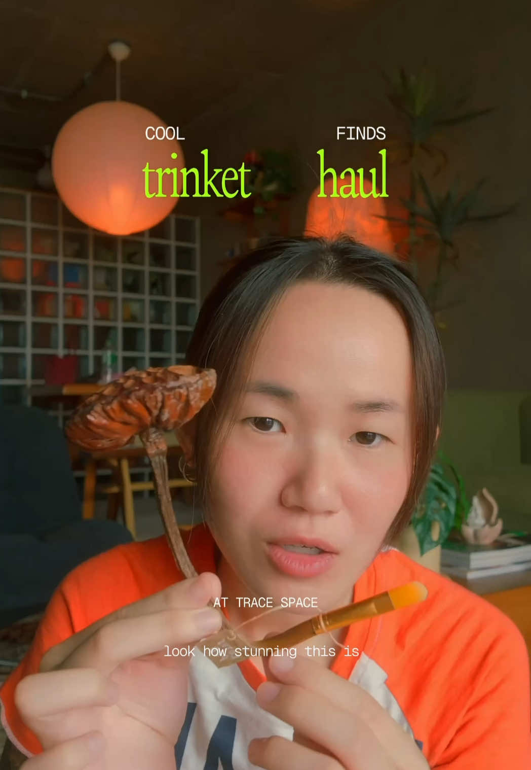 @viibecranky