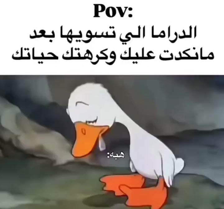 @soso2004