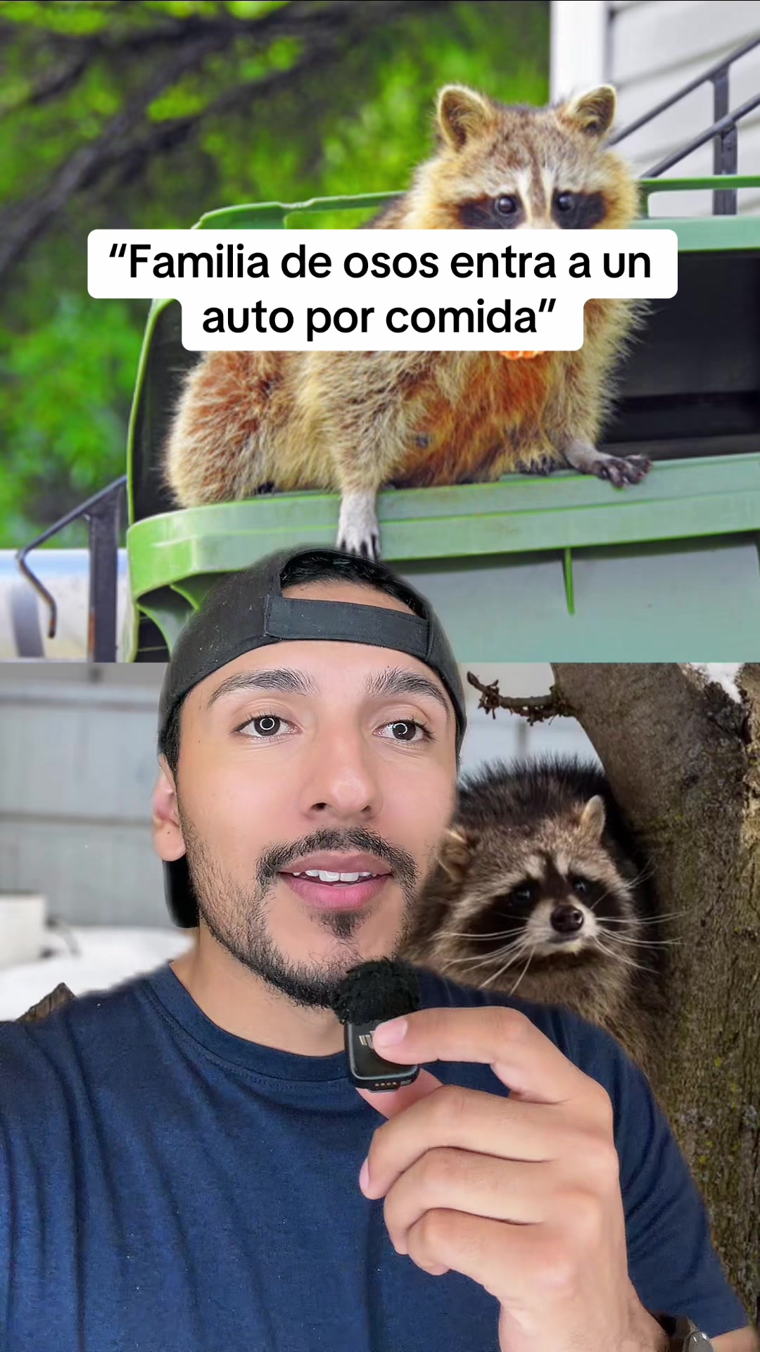 @Osmarus