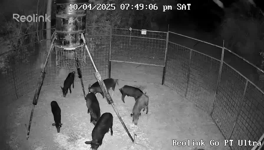 @Hog Brothers Custom Hog Traps