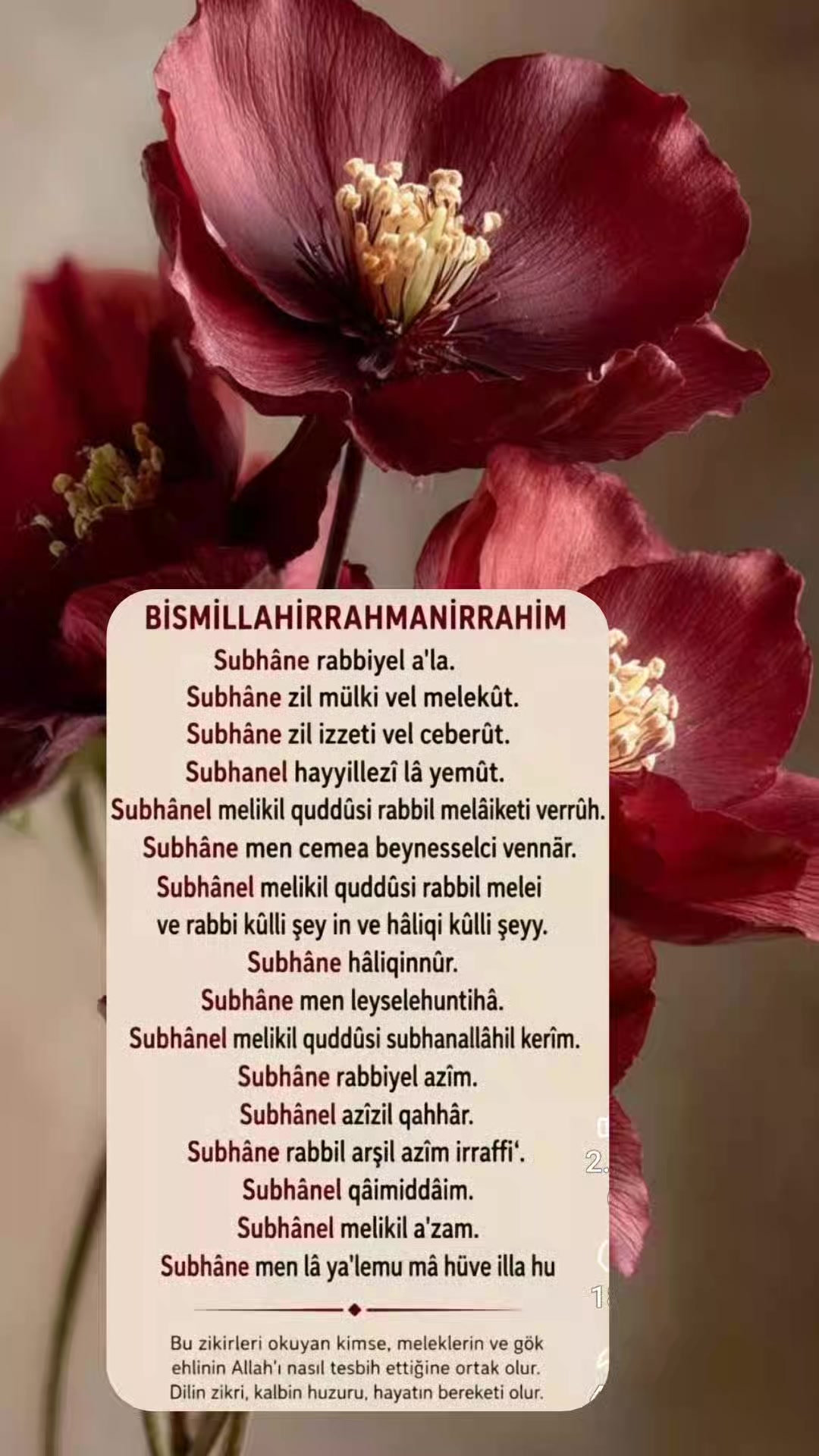 @hayat nereye gidiyor