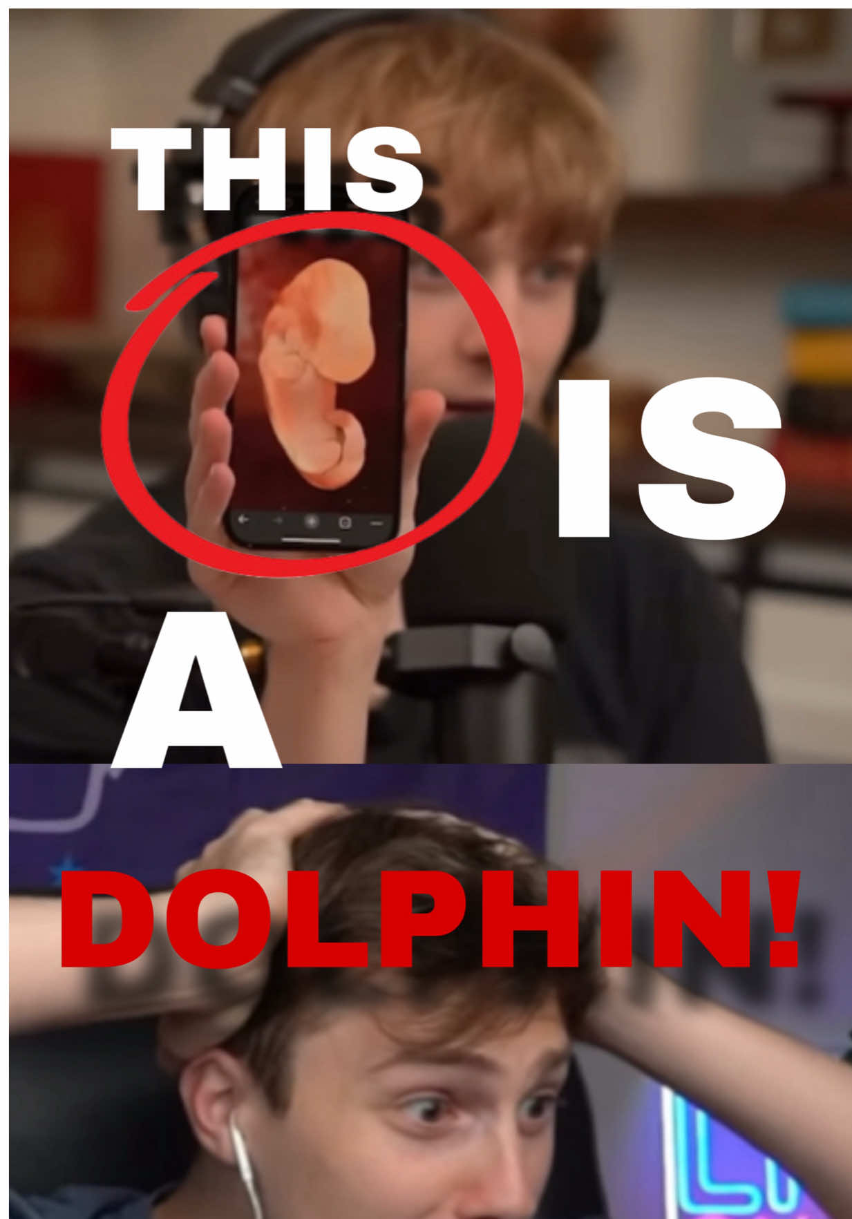 @politiclogic
