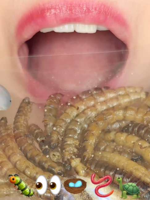 @당비 Dangbee EATING