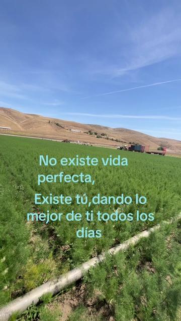 @aparicio.1267