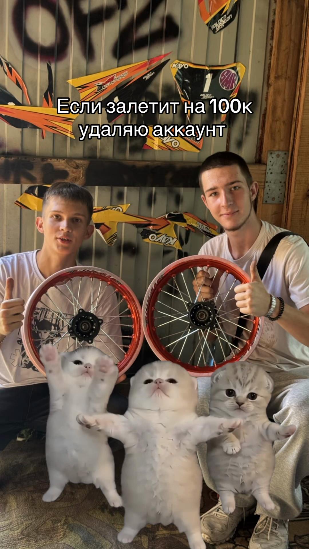 @𝙑𝙞𝙣𝙞𝙖.𝙨𝙩