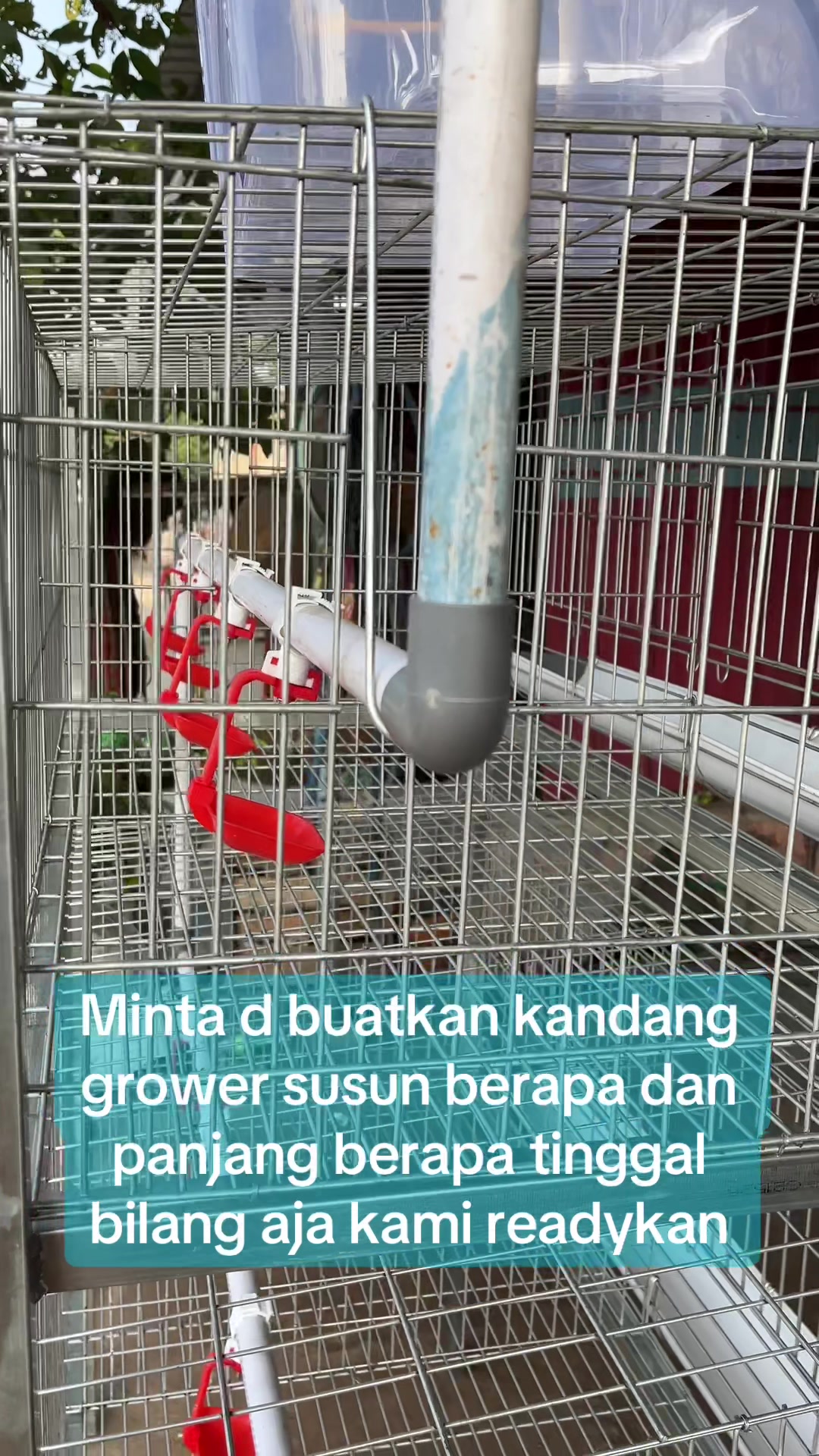 @TERNAK KITA