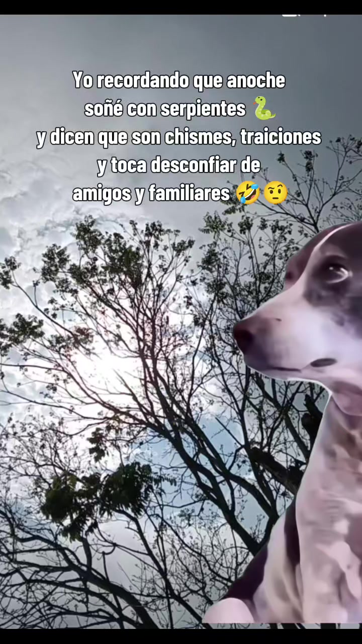 @Sanchez❤️