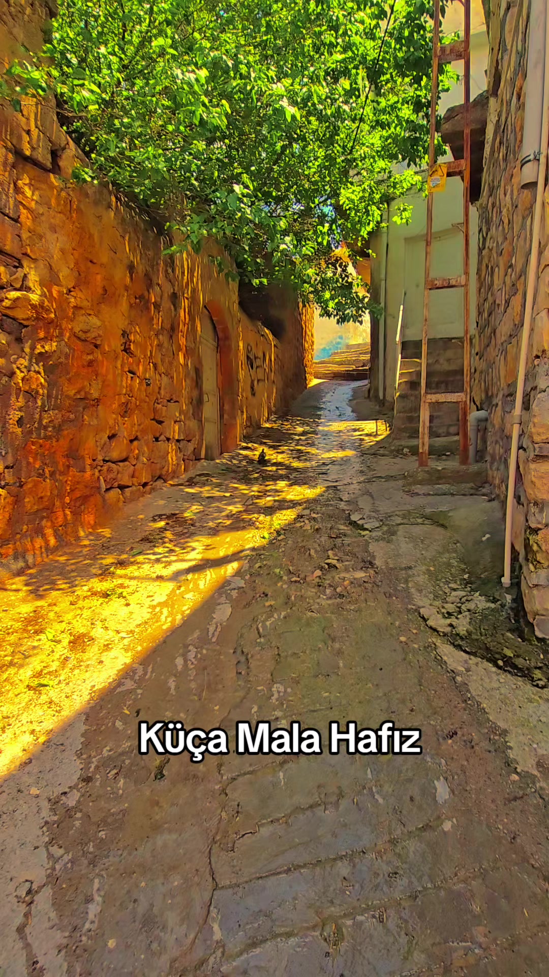 @Rıdvan A&ccedil;an