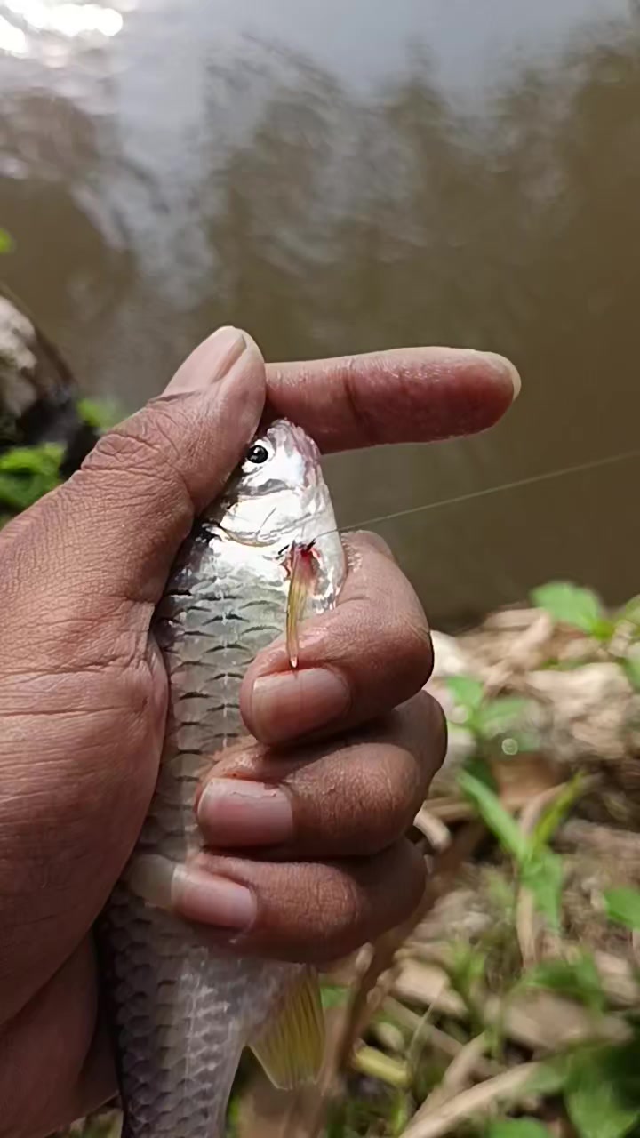@orupnaselfishing