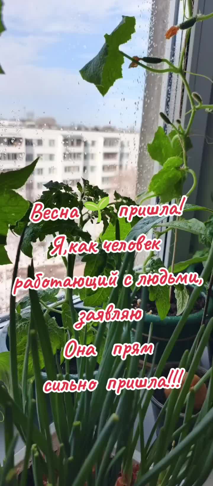 @Маруся