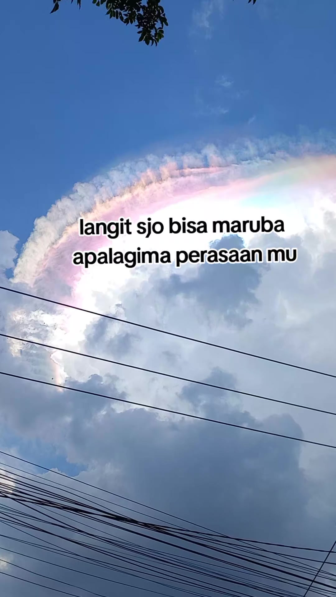 @amang borumudon maen🤪