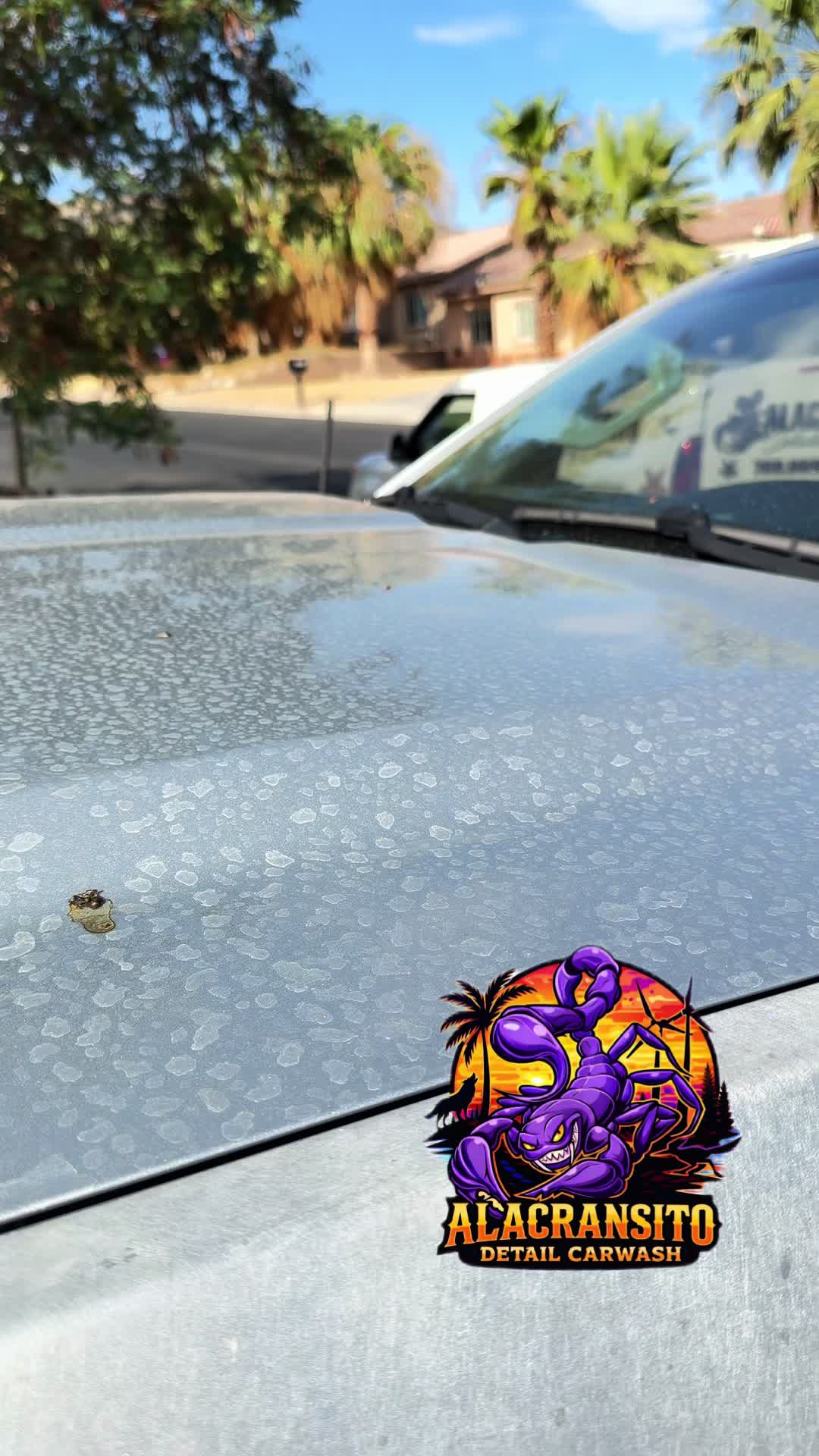 @videoscarwash
