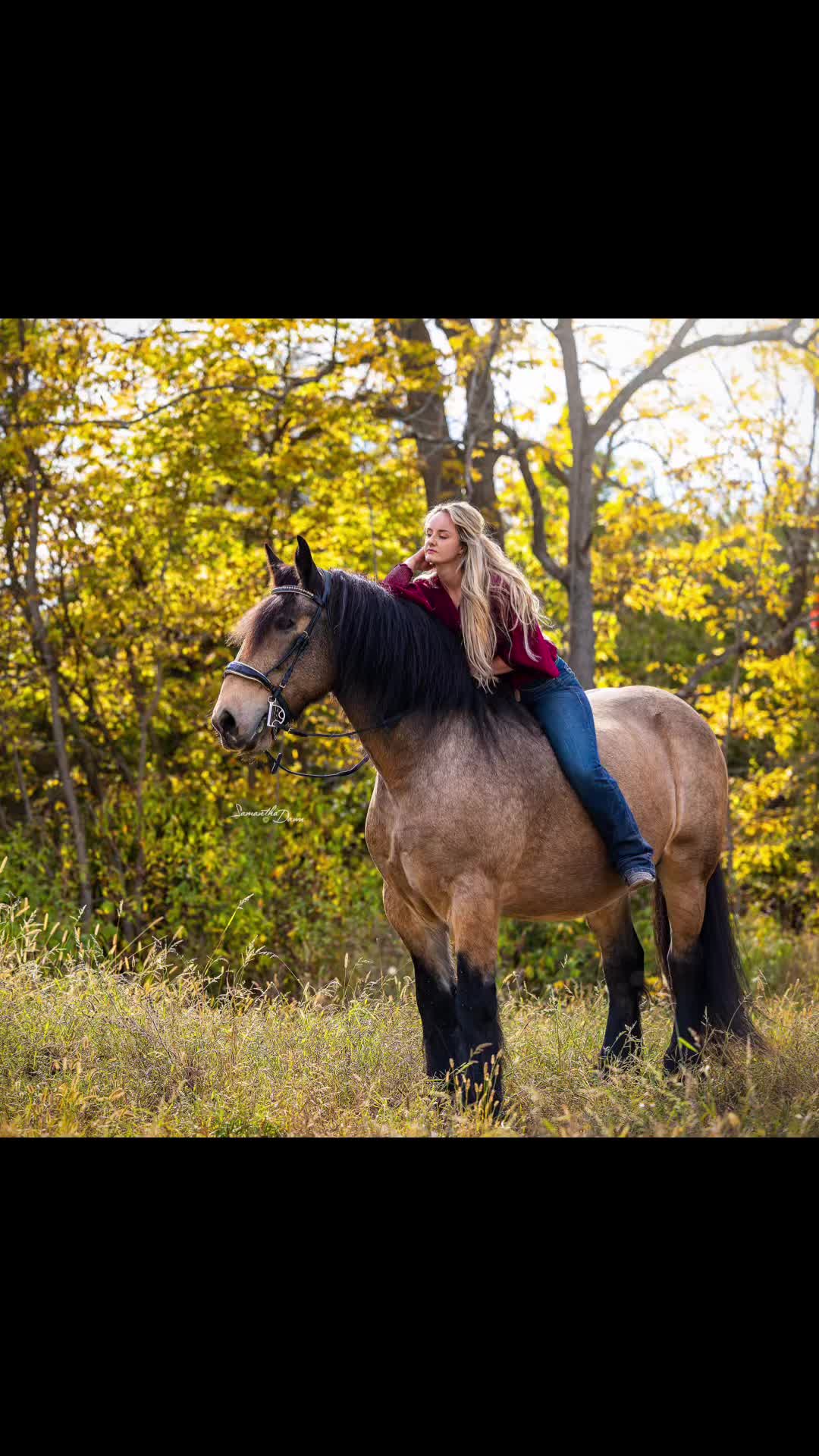 @shelbycheyenne