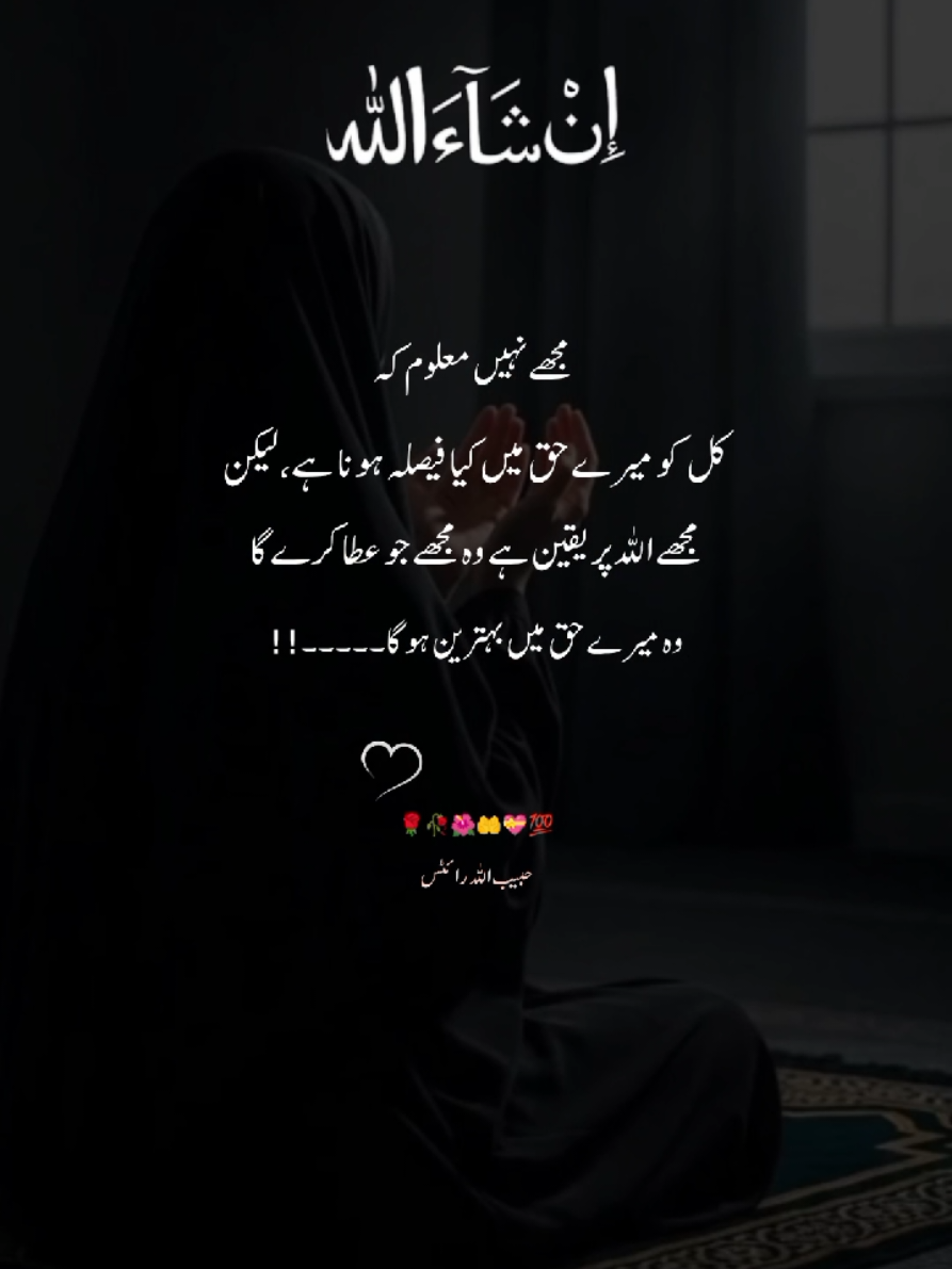 @حبیب اللہ ✍️