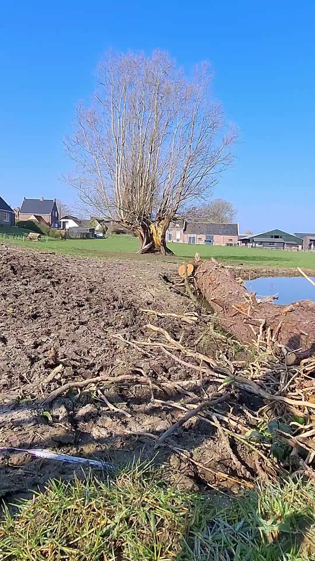@schapenfokkerij l.kammeraad