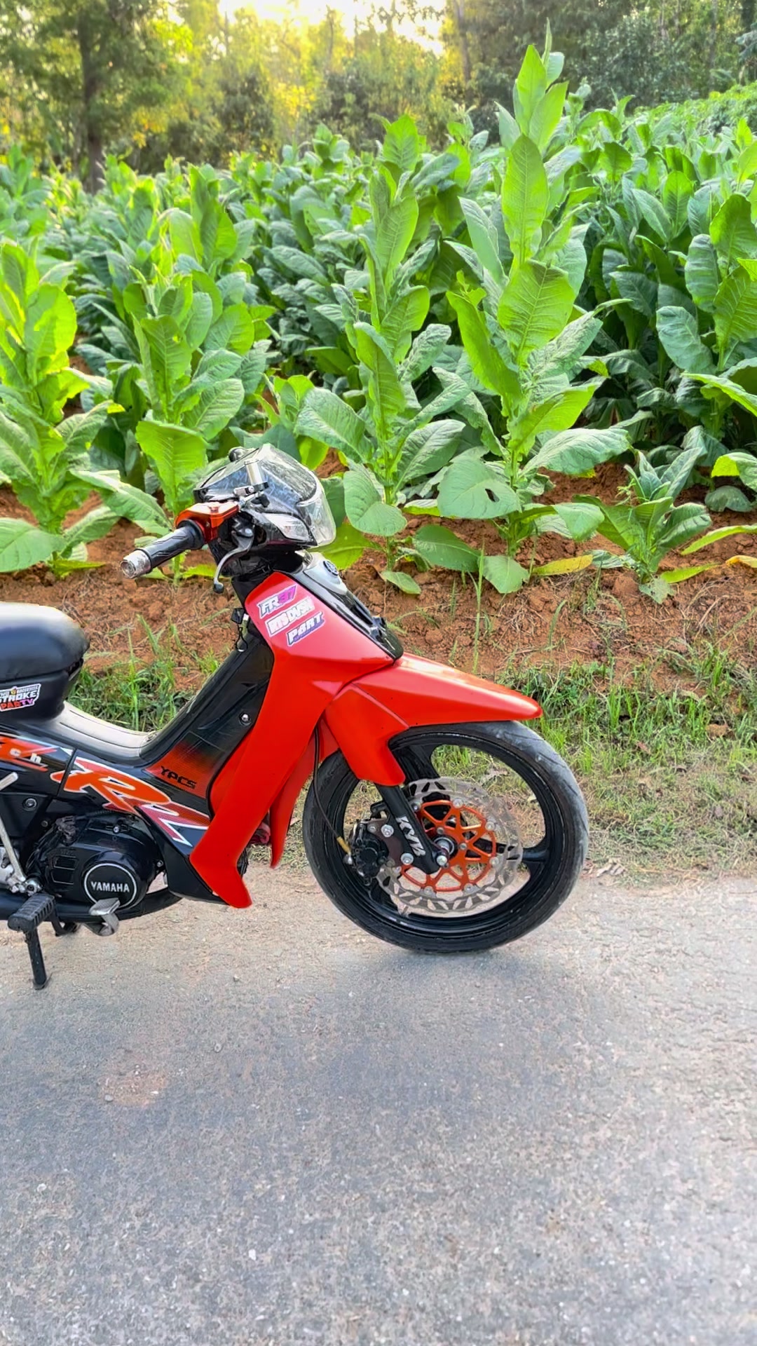@FR GARAGE.37