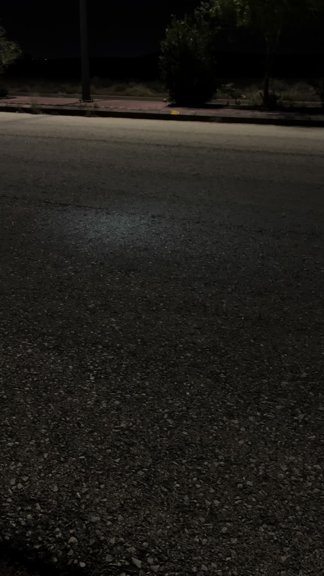 @M3o🐈&zwj;⬛.