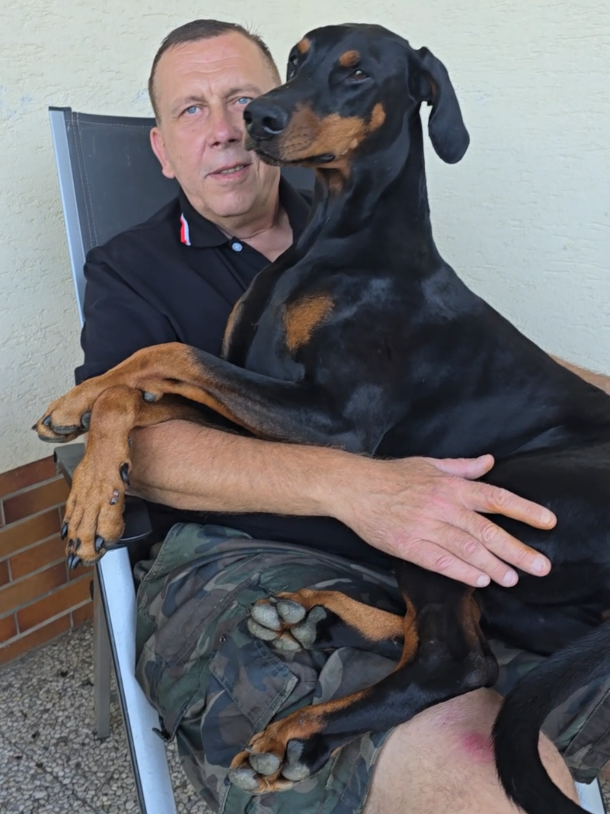 @dobermanndeutschland