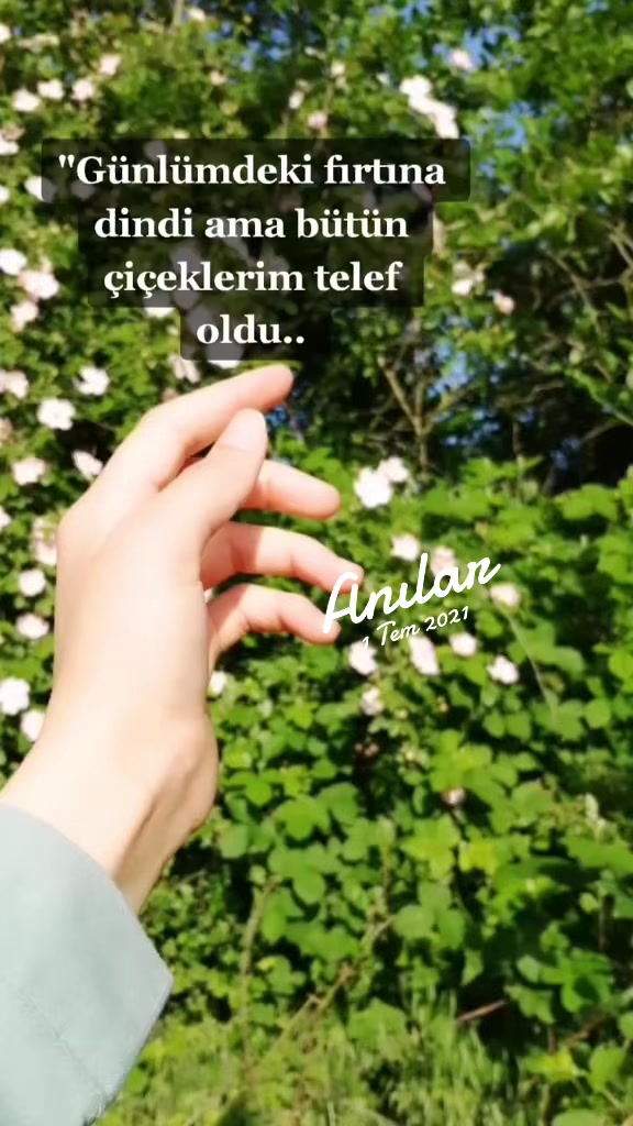 @🌸