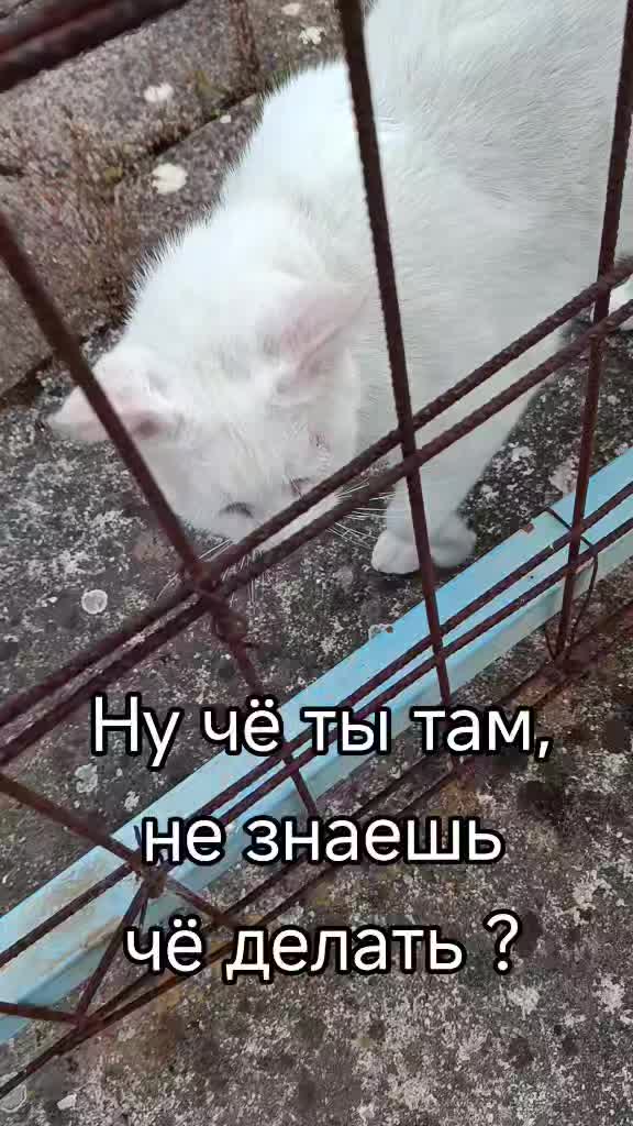 @Muza