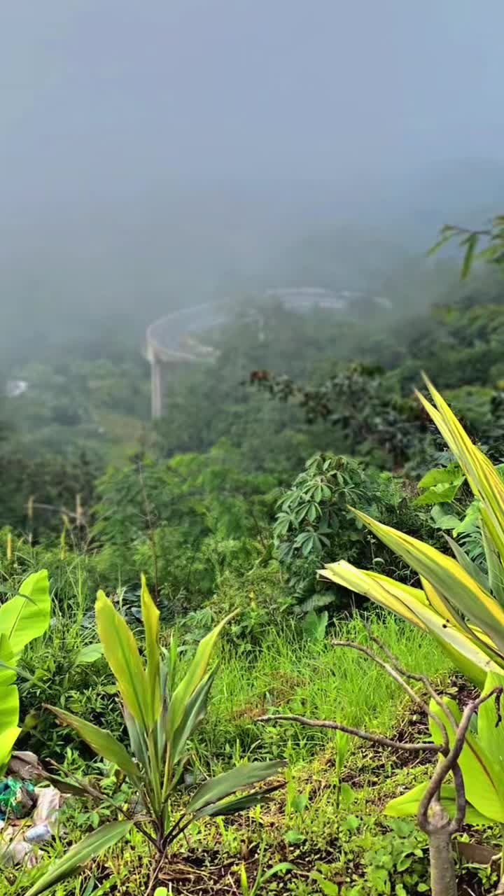 @bharata711