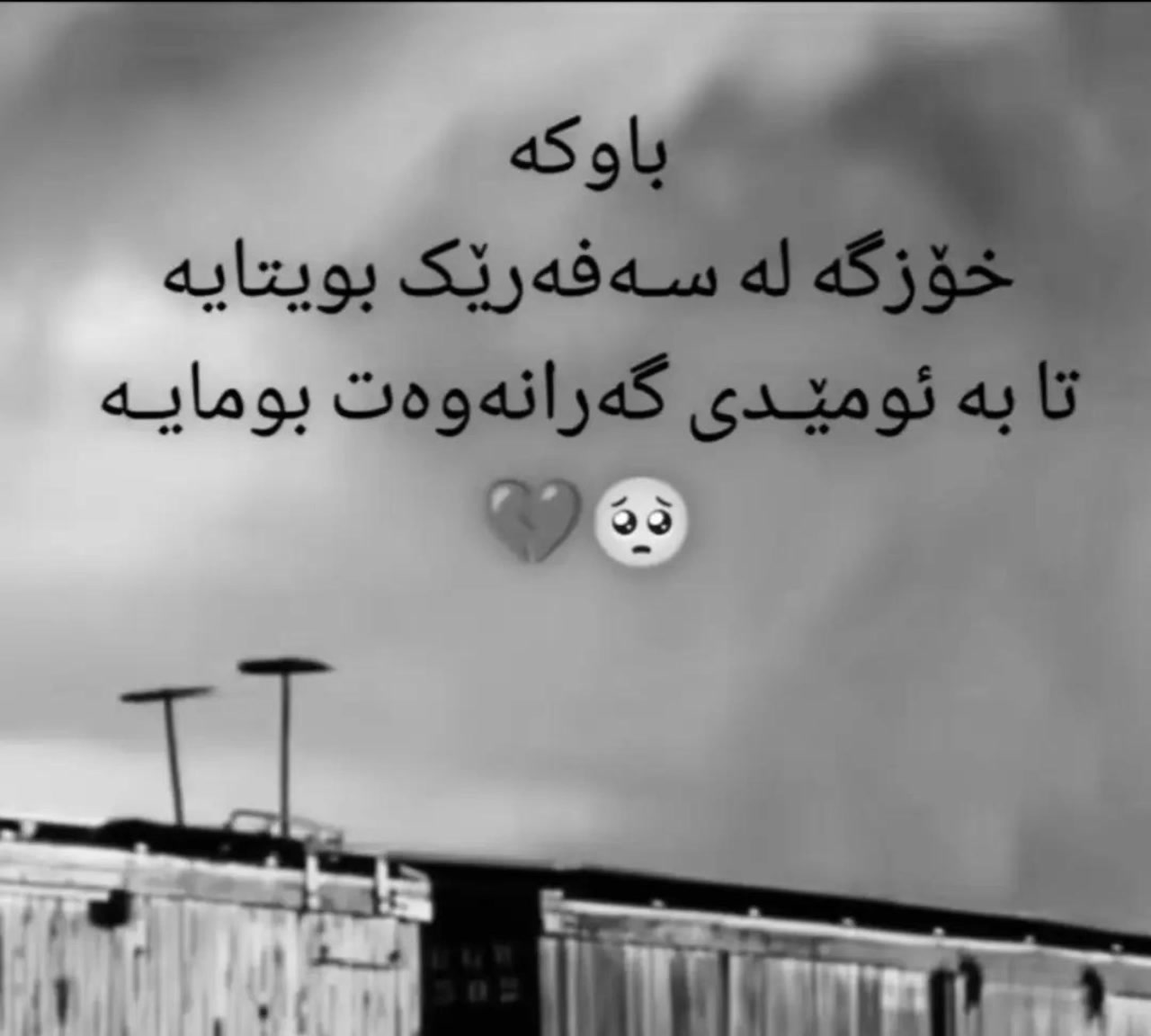 @🤍﮼بەرخە ﮼سپیەکەم