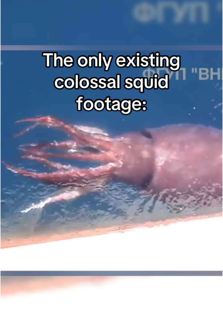 @man