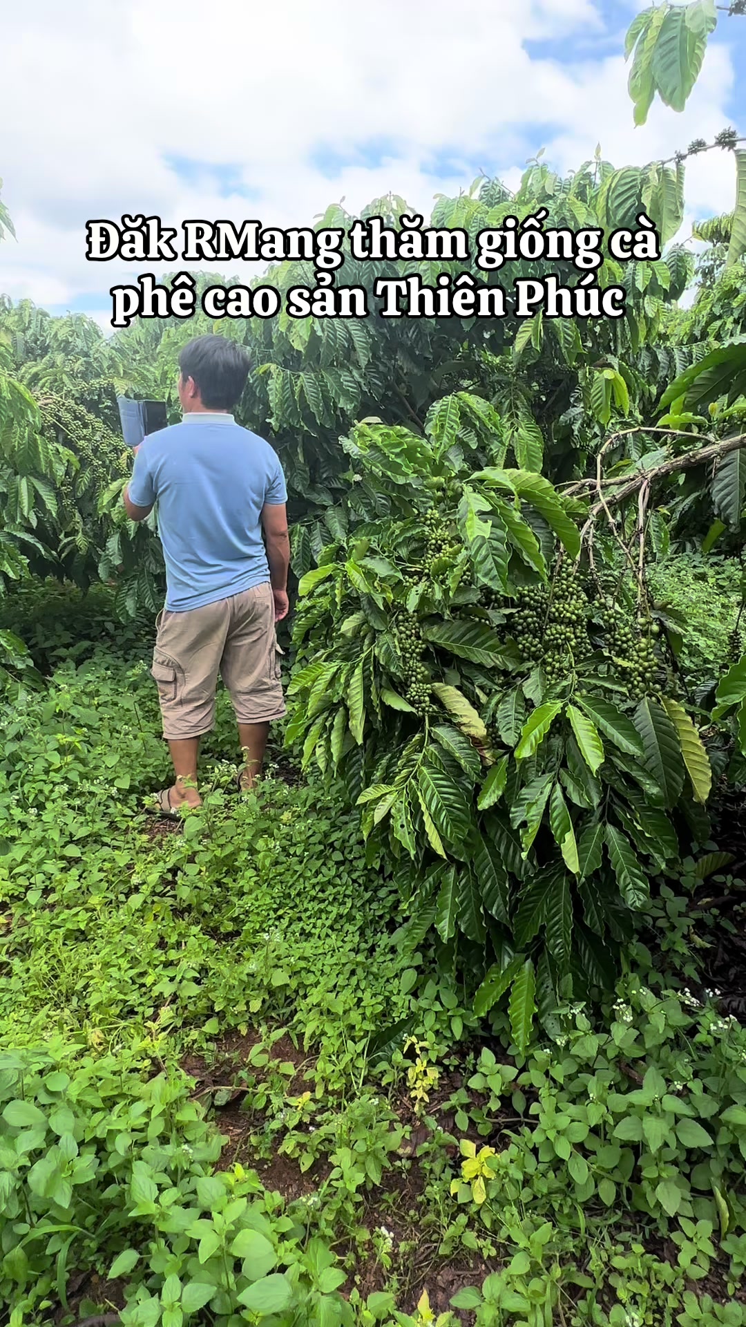 @Thành Bảo Lâm