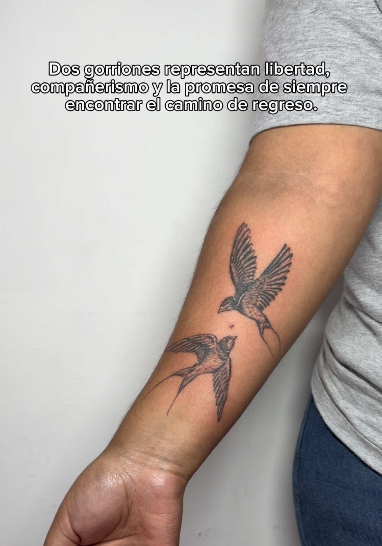 @haziel.com.mx