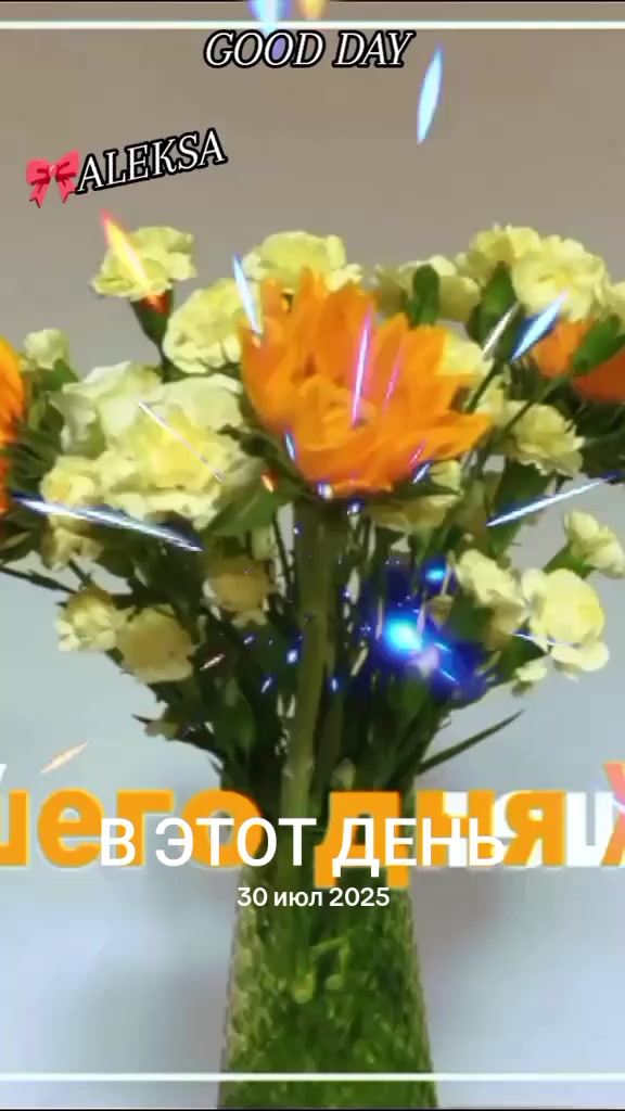 @ALEKSA