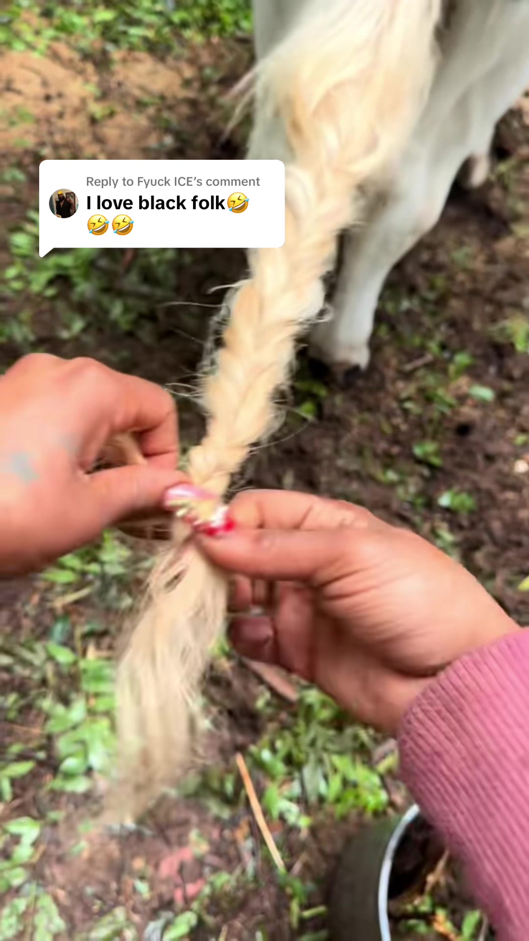@Billy The Bad Ass Horse