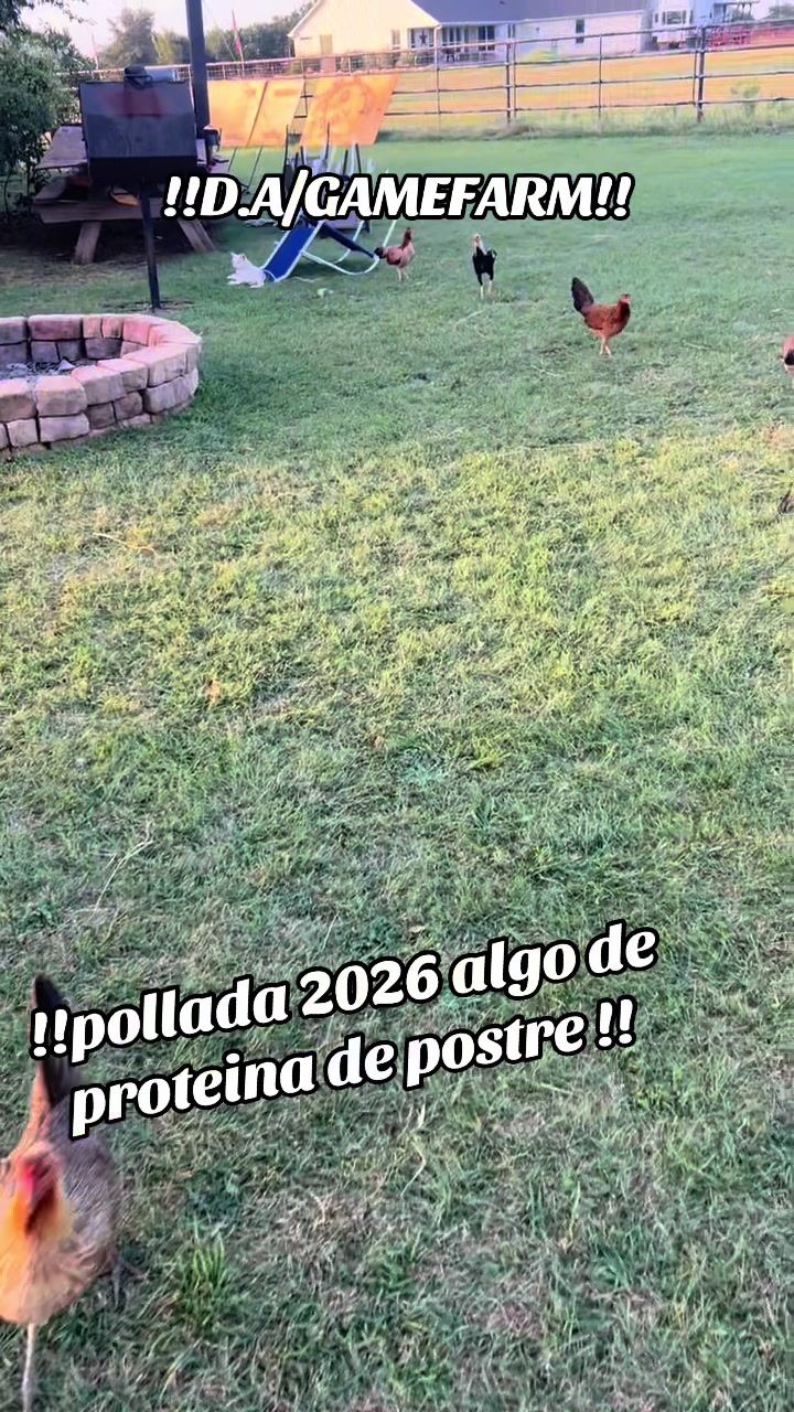 @DAgamefarm