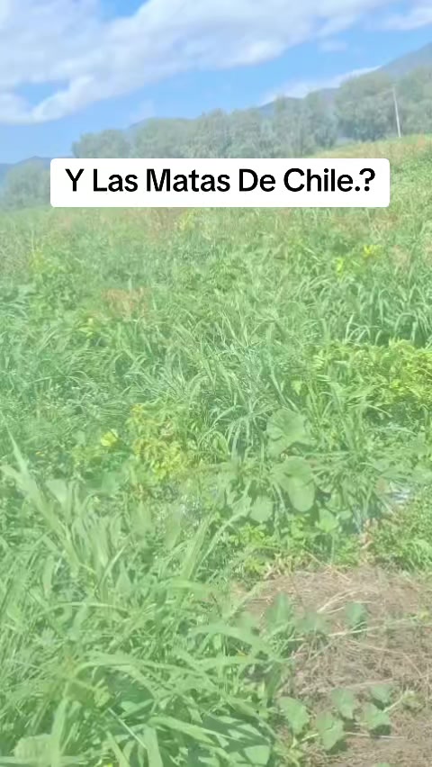 @ADAN SG
