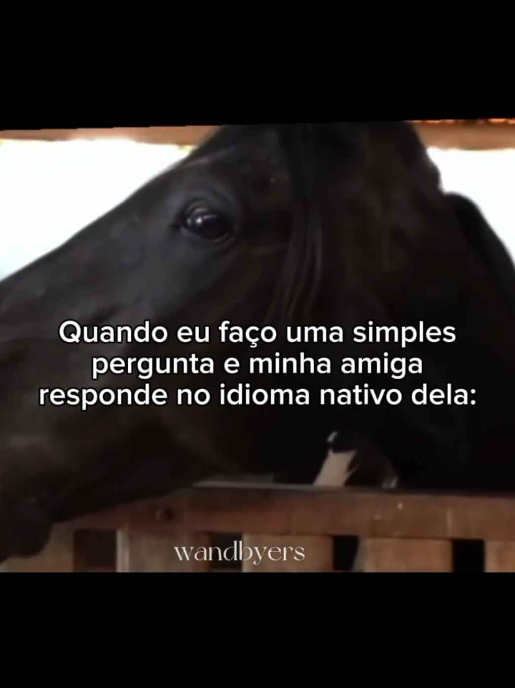 @wandbyers