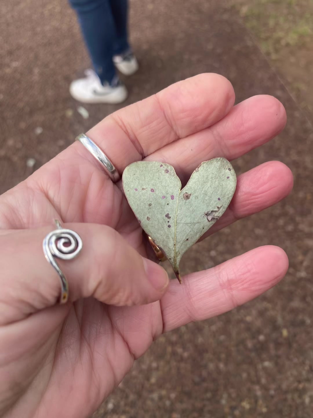@Miss Kelly - Psychic Medium 🦋