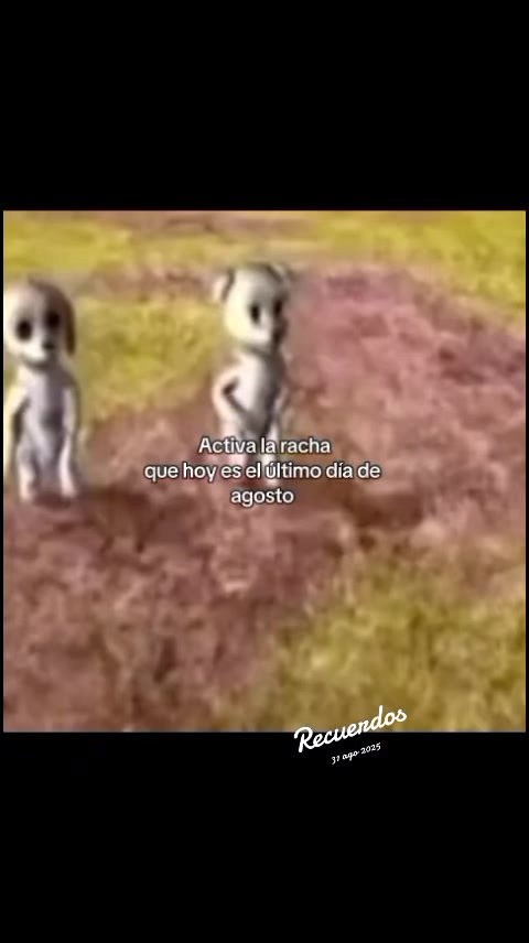 @jahured ✨