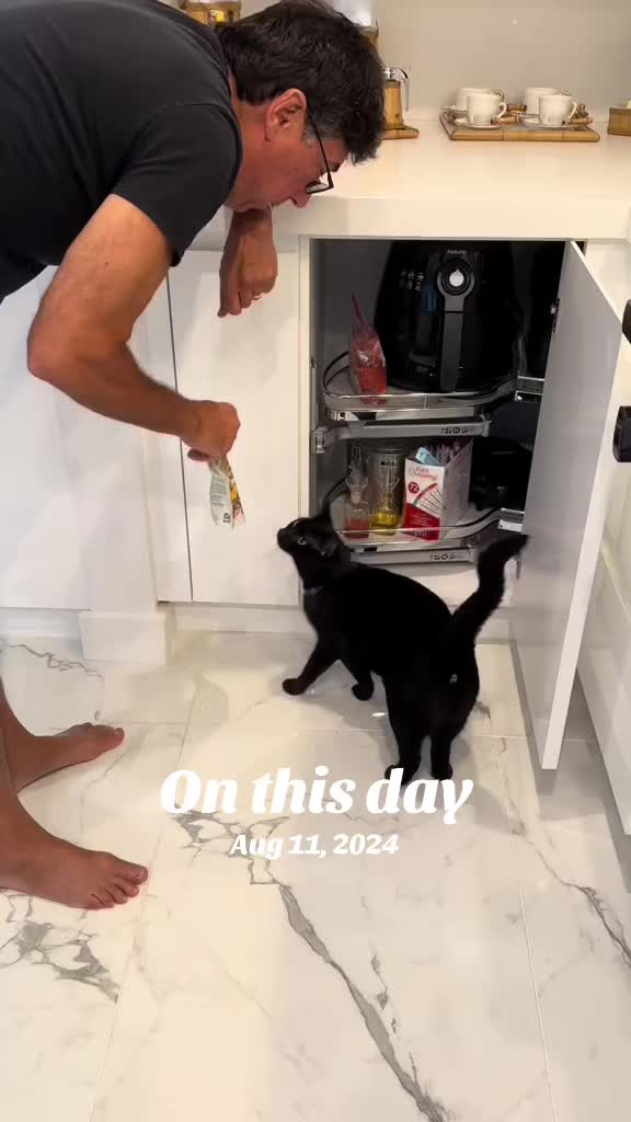 @Oscar Jeremy the cat!